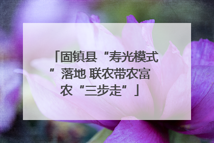 固镇县“寿光模式”落地 联农带农富农“三步走”