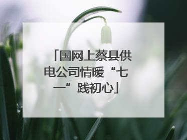 国网上蔡县供电公司情暖“七一”践初心