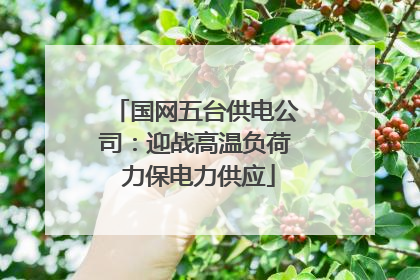 国网五台供电公司：迎战高温负荷 力保电力供应