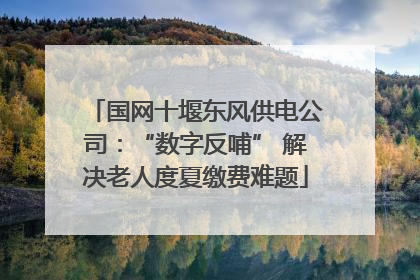 国网十堰东风供电公司：“数字反哺” 解决老人度夏缴费难题
