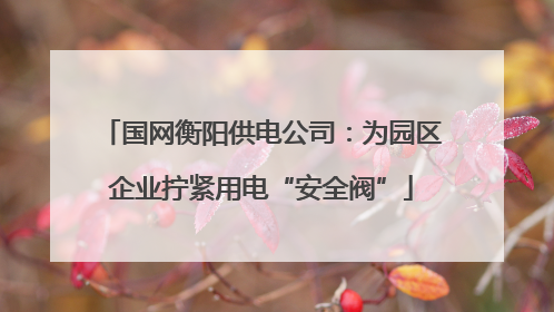 国网衡阳供电公司：为园区企业拧紧用电“安全阀”
