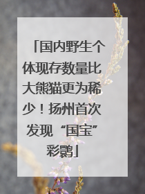 国内野生个体现存数量比大熊猫更为稀少！扬州首次发现“国宝”彩鹮