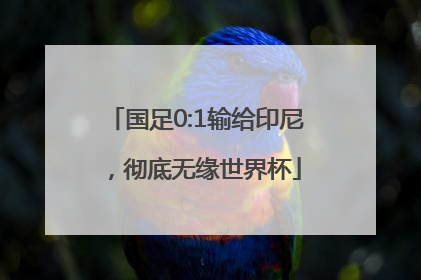 国足0:1输给印尼，彻底无缘世界杯