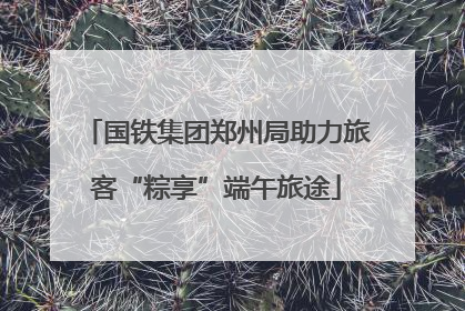 国铁集团郑州局助力旅客“粽享”端午旅途