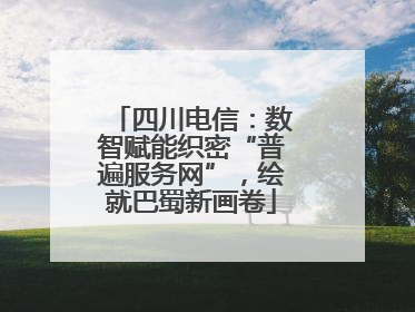 四川电信：数智赋能织密“普遍服务网”，绘就巴蜀新画卷