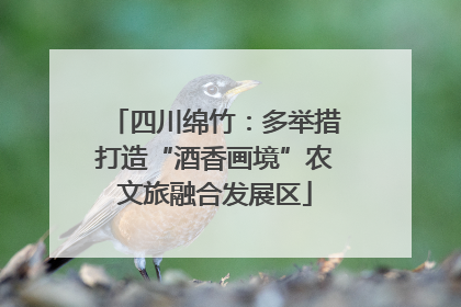 四川绵竹：多举措打造“酒香画境”农文旅融合发展区