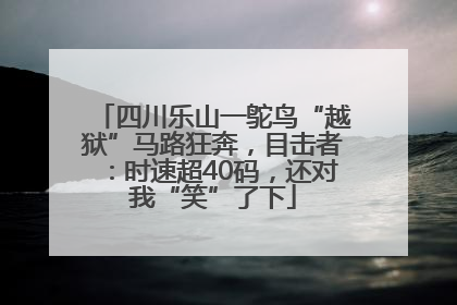 四川乐山一鸵鸟“越狱”马路狂奔，目击者：时速超40码，还对我“笑”了下