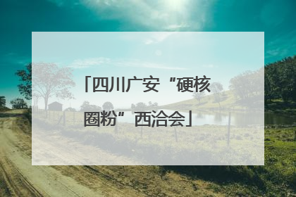 四川广安“硬核圈粉”西洽会