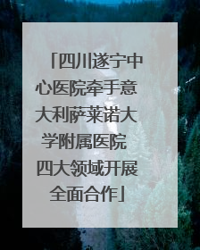 四川遂宁中心医院牵手意大利萨莱诺大学附属医院 四大领域开展全面合作