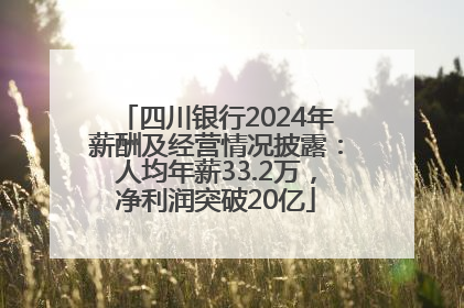 四川银行2024年薪酬及经营情况披露：人均年薪33.2万，净利润突破20亿