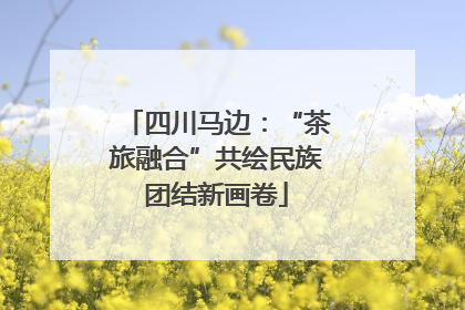 四川马边：“茶旅融合”共绘民族团结新画卷