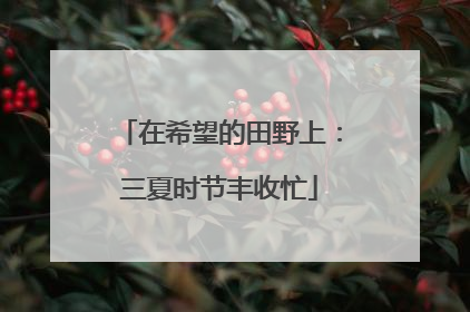 在希望的田野上：三夏时节丰收忙