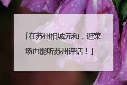 在苏州相城元和，逛菜场也能听苏州评话！