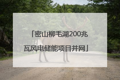 密山柳毛湖200兆瓦风电储能项目并网