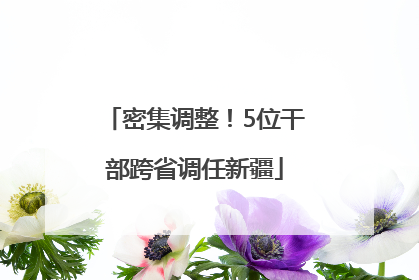 密集调整！5位干部跨省调任新疆