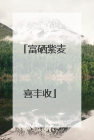 富硒紫麦喜丰收