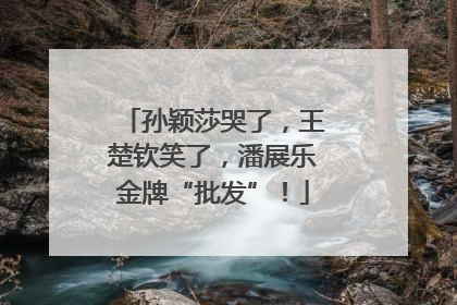 孙颖莎哭了，王楚钦笑了，潘展乐金牌“批发”！