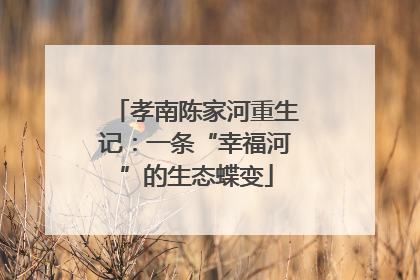 孝南陈家河重生记：一条“幸福河”的生态蝶变