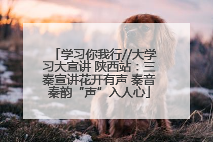学习你我行//大学习大宣讲 陕西站：三秦宣讲花开有声 秦音秦韵“声”入人心