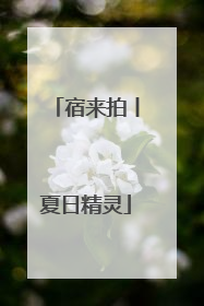 宿来拍丨夏日精灵