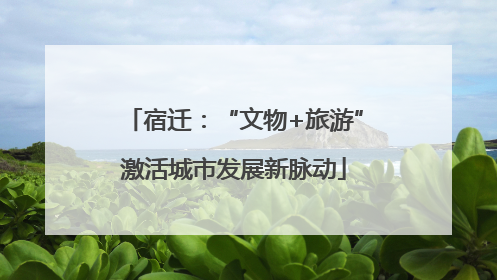 宿迁：“文物+旅游”激活城市发展新脉动