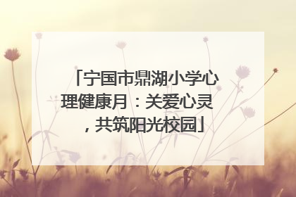 宁国市鼎湖小学心理健康月：关爱心灵，共筑阳光校园