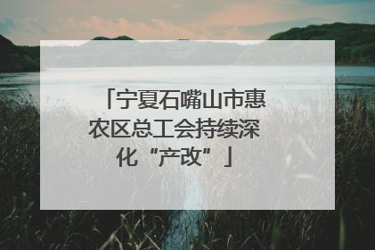 宁夏石嘴山市惠农区总工会持续深化“产改”