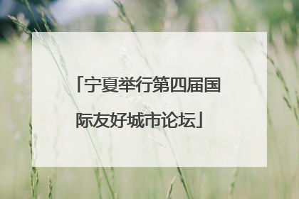 宁夏举行第四届国际友好城市论坛