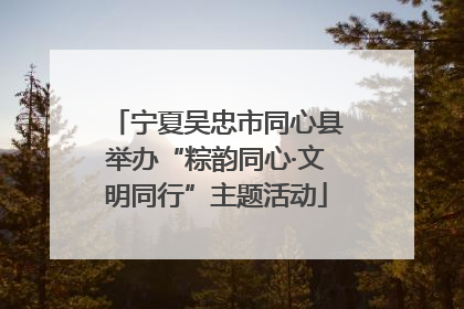 宁夏吴忠市同心县举办“粽韵同心·文明同行”主题活动