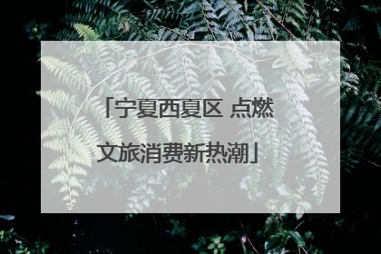 宁夏西夏区 点燃文旅消费新热潮
