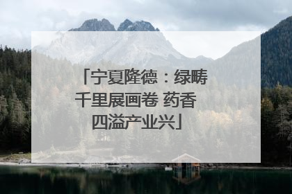 宁夏隆德：绿畴千里展画卷 药香四溢产业兴