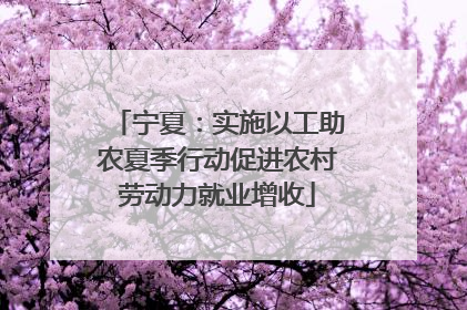 宁夏：实施以工助农夏季行动促进农村劳动力就业增收