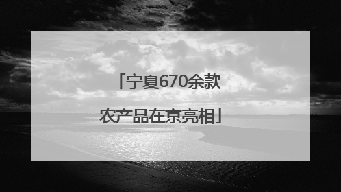 宁夏670余款农产品在京亮相