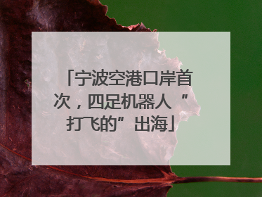 宁波空港口岸首次，四足机器人“打飞的”出海