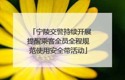 宁陵交警持续开展提醒乘客全员全程规范使用安全带活动