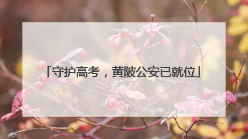 守护高考，黄陂公安已就位
