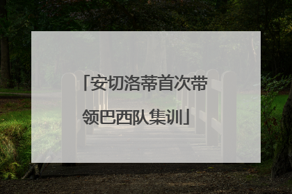 安切洛蒂首次带领巴西队集训