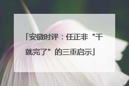 安徽时评：任正非“干就完了”的三重启示