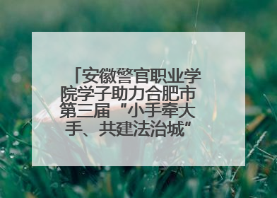 安徽警官职业学院学子助力合肥市第三届“小手牵大手、共建法治城”公益普法活动