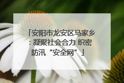 安阳市龙安区马家乡：凝聚社会合力 织密防汛“安全网”