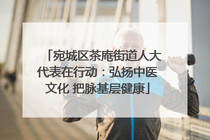 宛城区茶庵街道人大代表在行动：弘扬中医文化 把脉基层健康