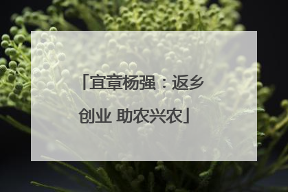 宜章杨强：返乡创业 助农兴农