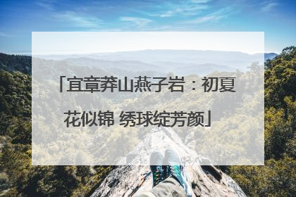 宜章莽山燕子岩：初夏花似锦 绣球绽芳颜