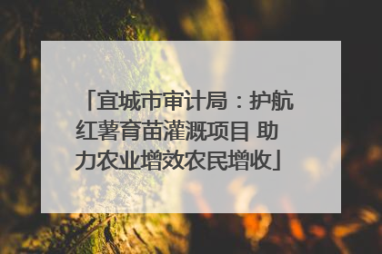 宜城市审计局：护航红薯育苗灌溉项目 助力农业增效农民增收
