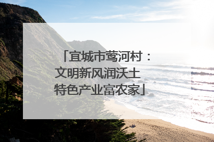 宜城市莺河村：文明新风润沃土 特色产业富农家