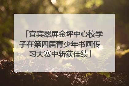 宜宾翠屏金坪中心校学子在第四届青少年书画传习大赛中斩获佳绩