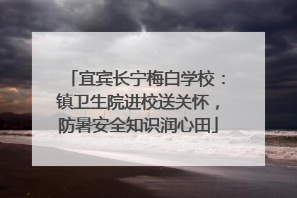 宜宾长宁梅白学校：镇卫生院进校送关怀，防暑安全知识润心田