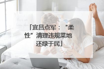 宜昌点军：“柔性”清理违规菜地 还绿于民