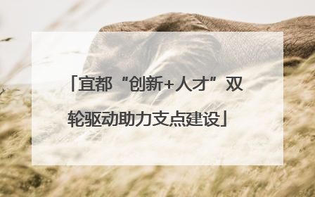 宜都“创新+人才”双轮驱动助力支点建设