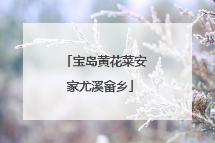 宝岛黄花菜安家尤溪畲乡